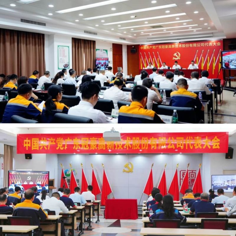 中国共产党bevictor伟德代表大会成功召开