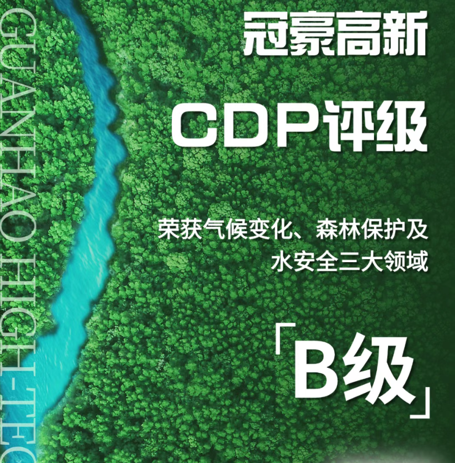 绿色先锋，荣耀启航！bevictor伟德首度参评CDP 评级斩获“B”级
