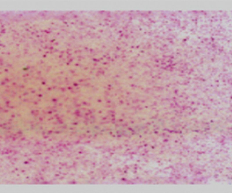 Thermal-discoloration Carbonless copy Paper